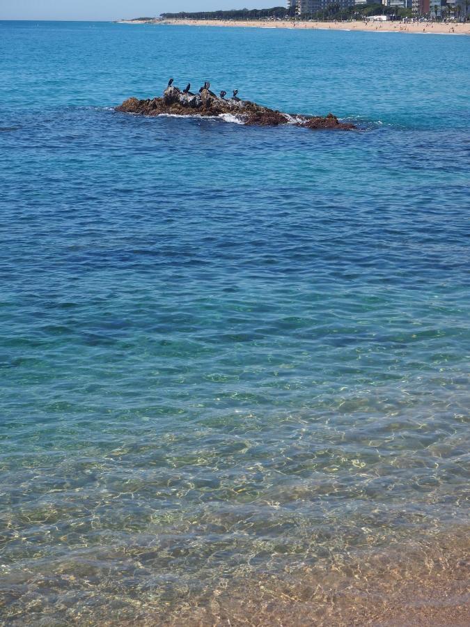 Apartamento Mar I Cel Blanes Bagian luar foto